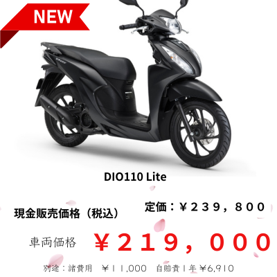 DIO110lite