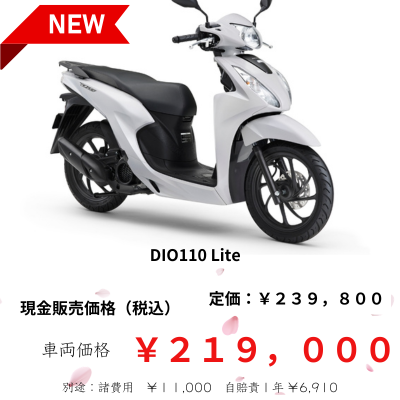 DIO110lite