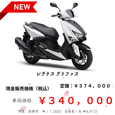 シグナスグリファス