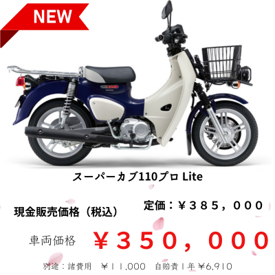 スーパーカブ110プロ lite